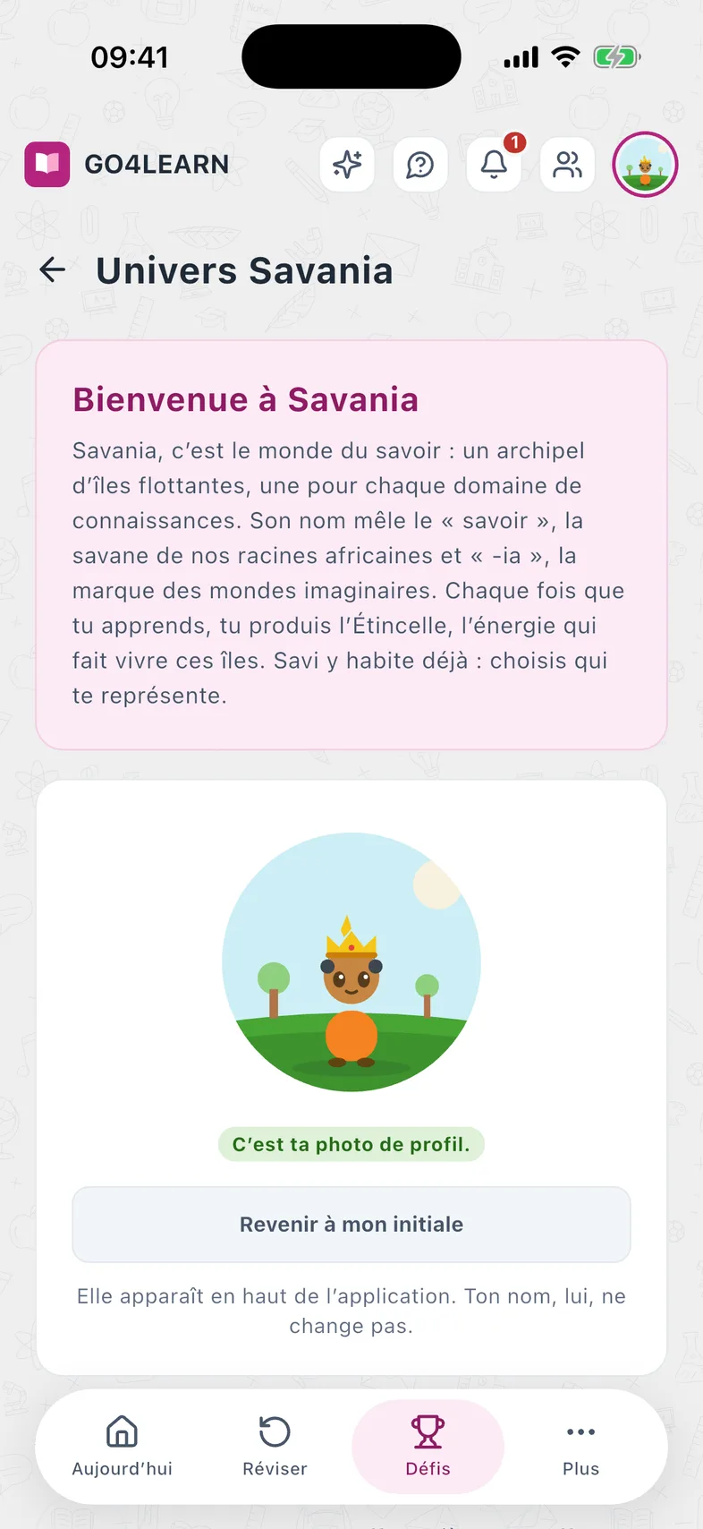 The Savania world: the learner's avatar